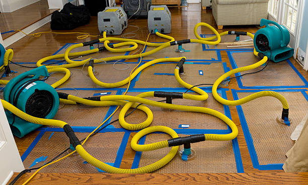Professional Burst Pipe Water Damage technician working in Colton, OH